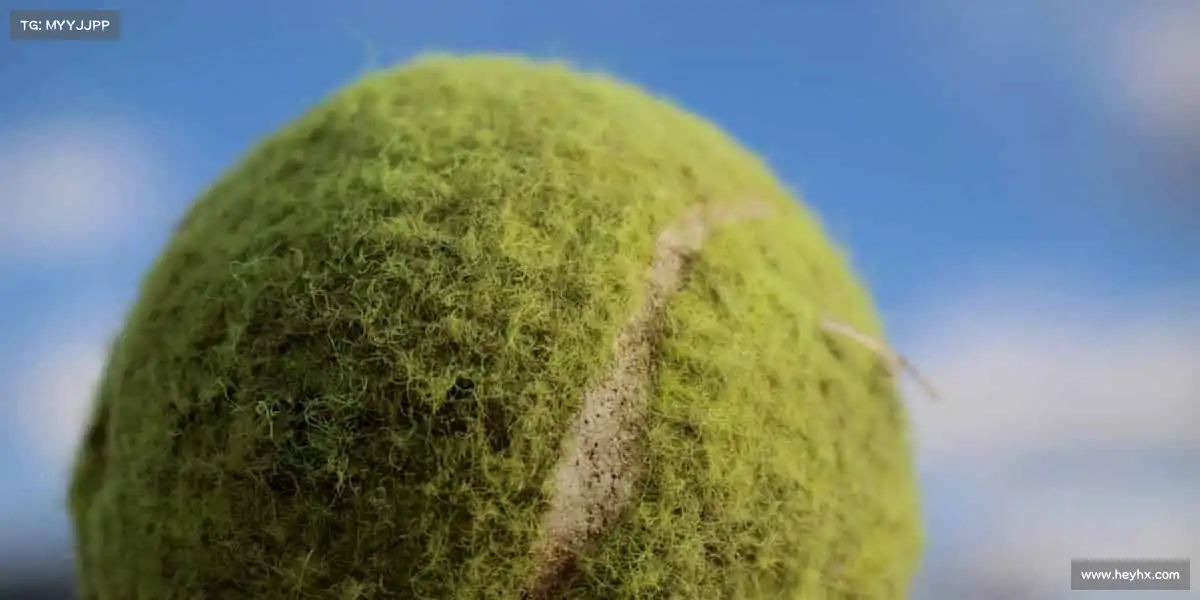 每日吃瓜大赛🌟 引领影视行业新风向，用优质内容定义新时代影像美学